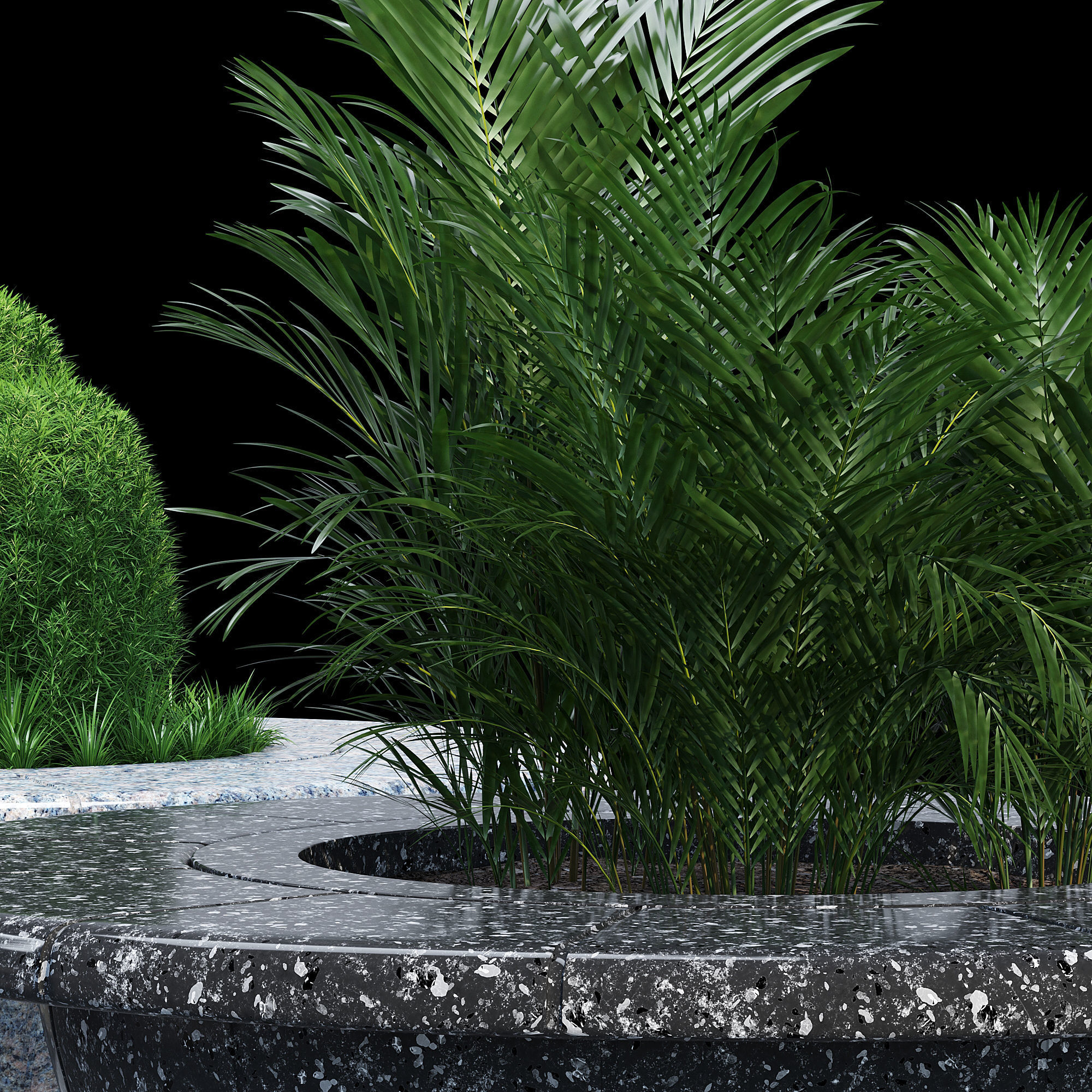 Ring tree 3D model_6