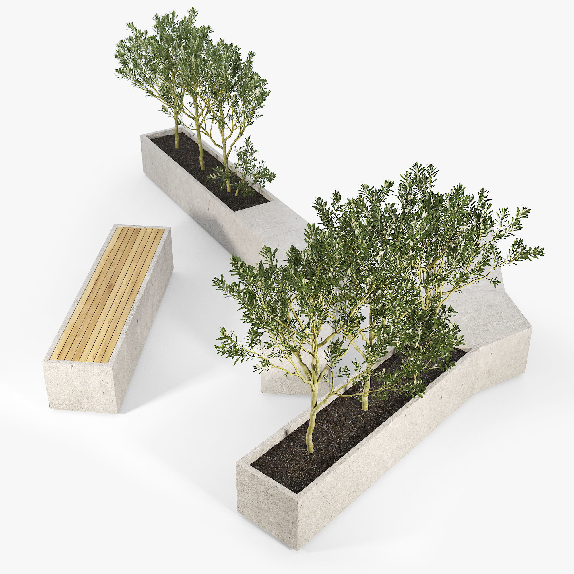 BOX PLANTER Olea europaea 3D model_10