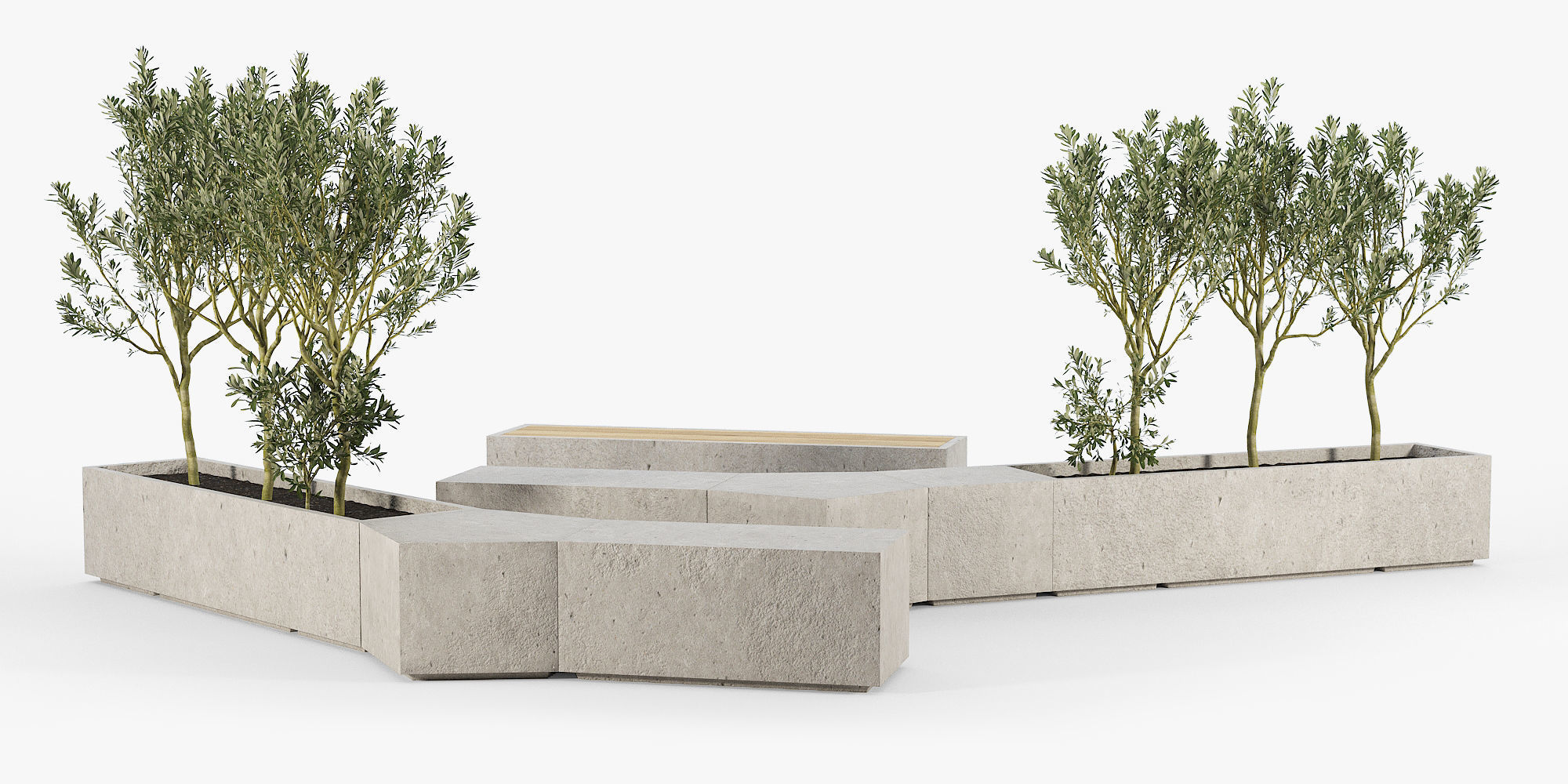 BOX PLANTER Olea europaea 3D model_12