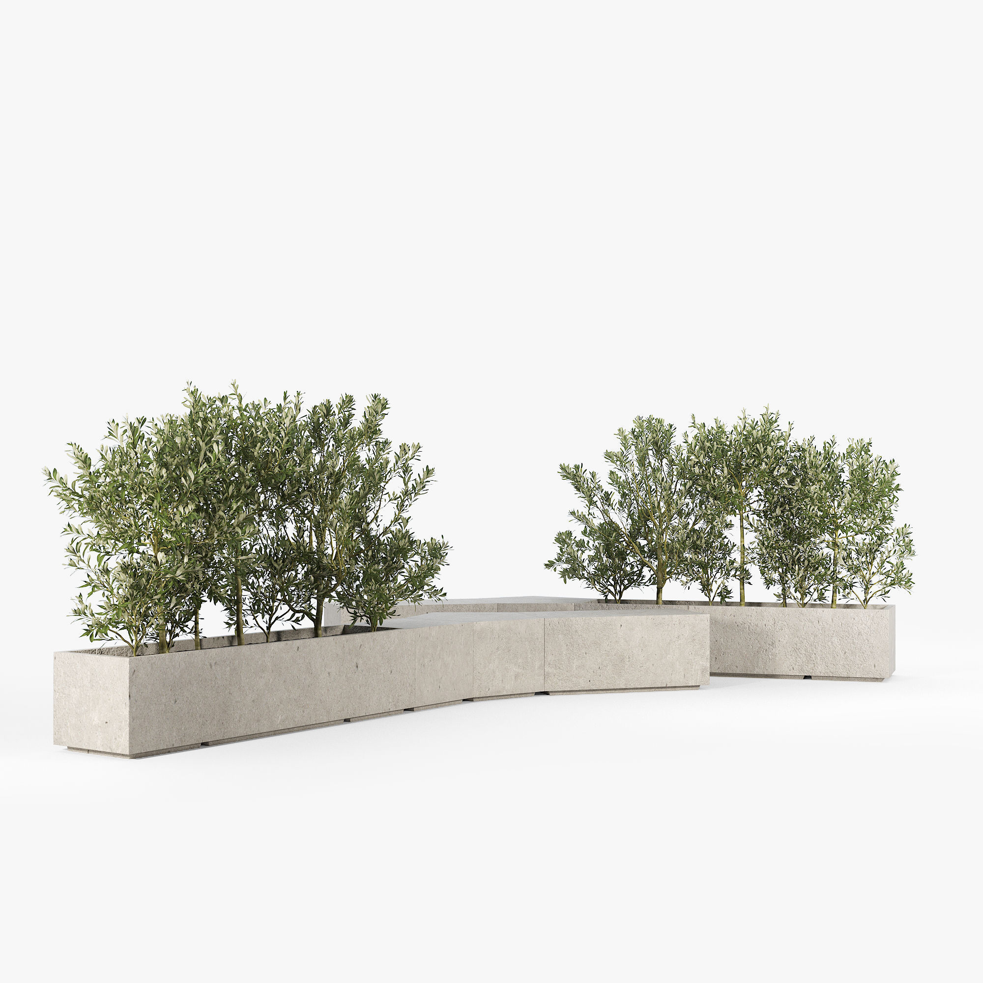 BOX PLANTER Olea europaea 3D model_4