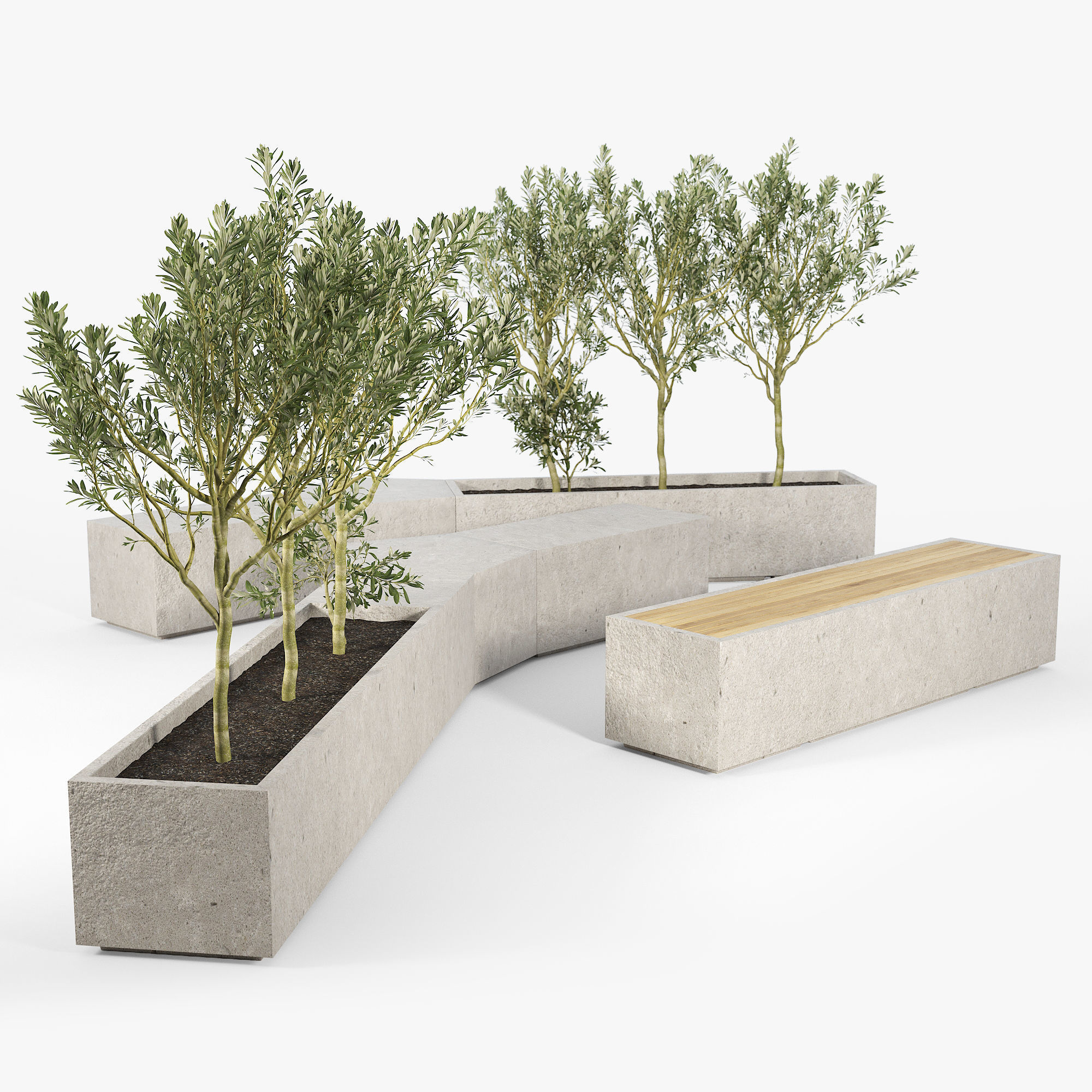 BOX PLANTER Olea europaea 3D model_9