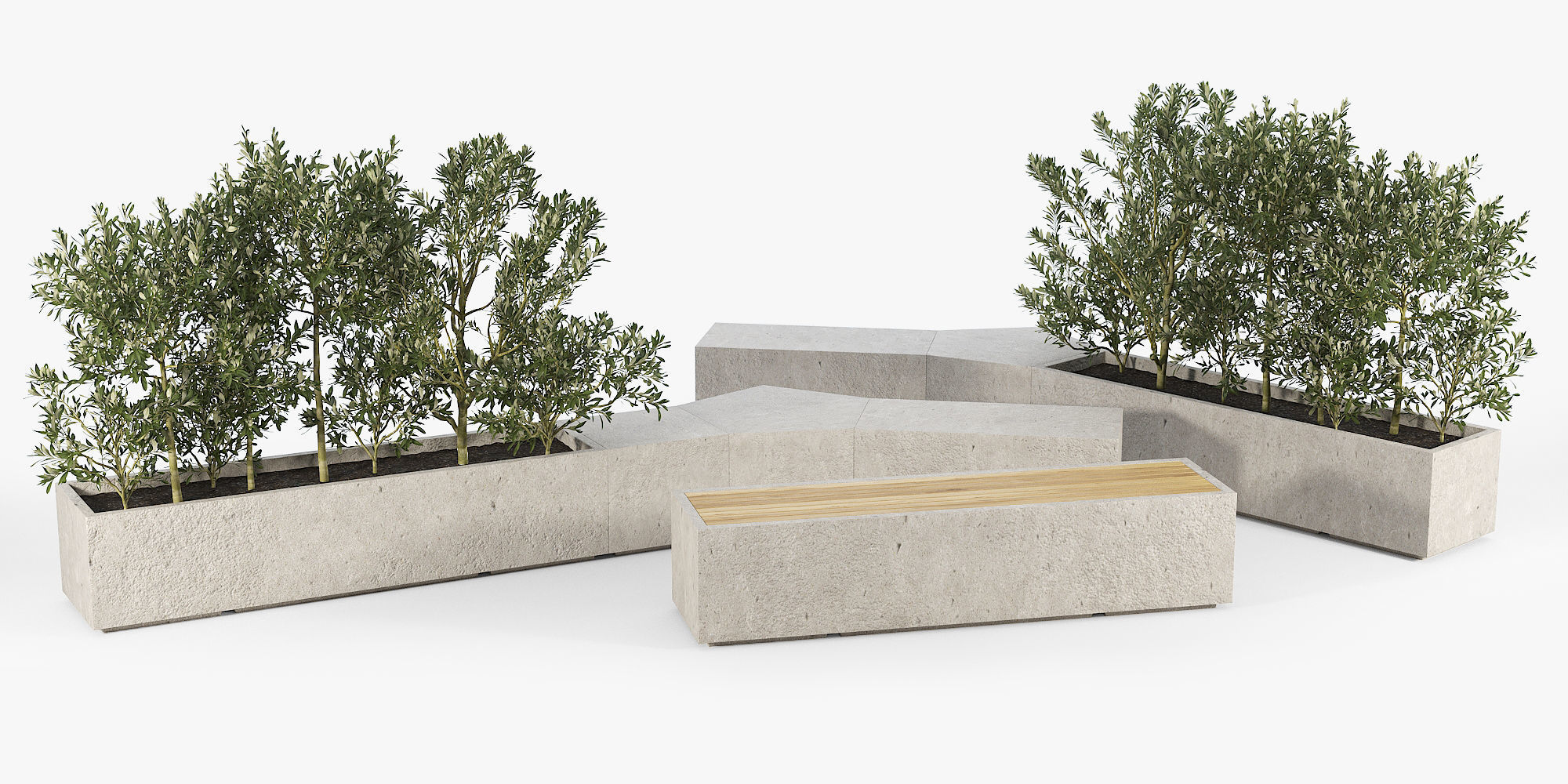 BOX PLANTER Olea europaea 3D model_13