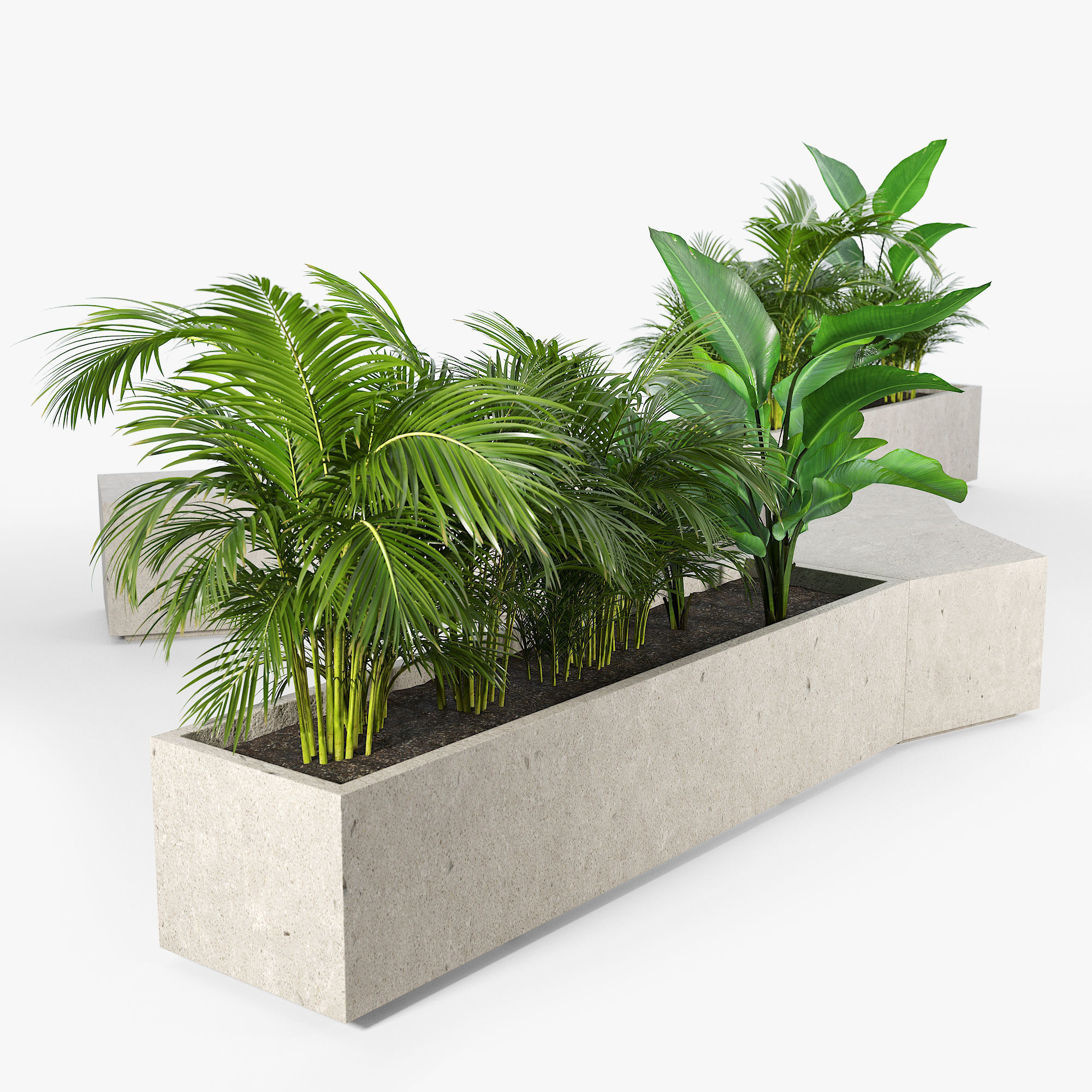 BOX PLANTER Tropics 3D model_2