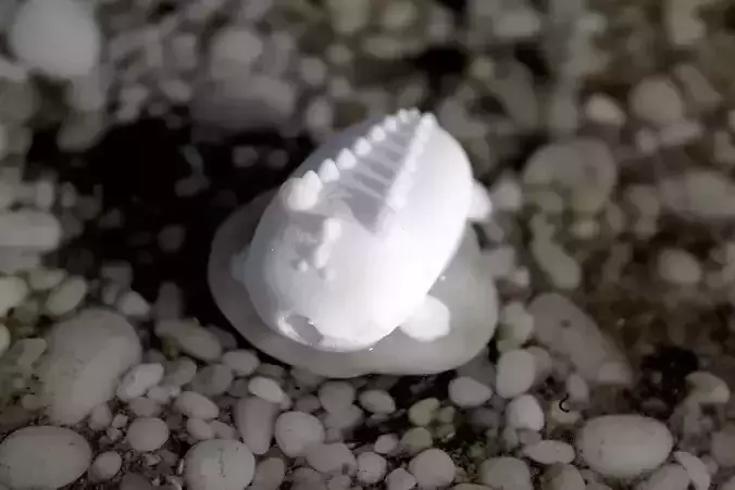 Croccky plastic toy on beach 3D print model