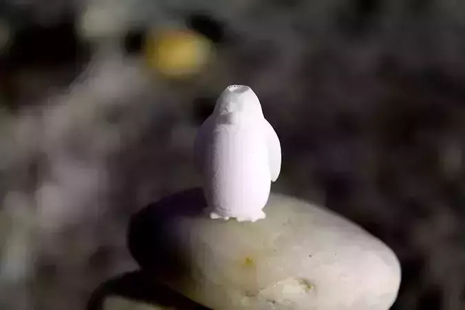 Penguy penguin on rock 3D print model