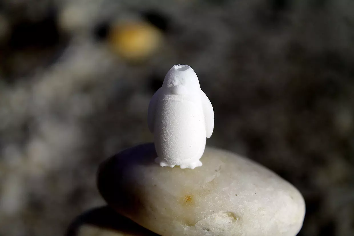 Penguy penguin on rock 3D print model_0