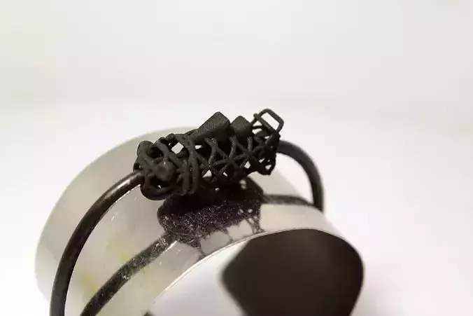 Sharky evolution 3D print model