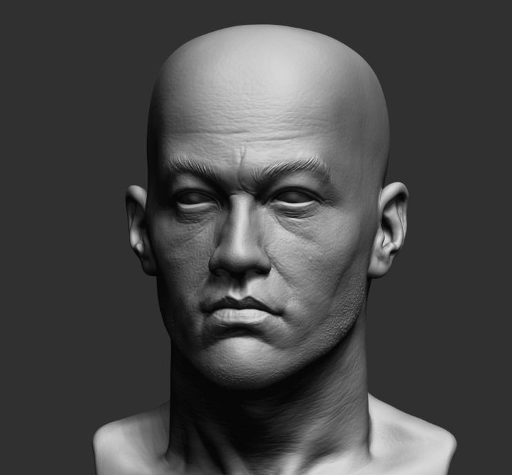 Bruce 3D model_2