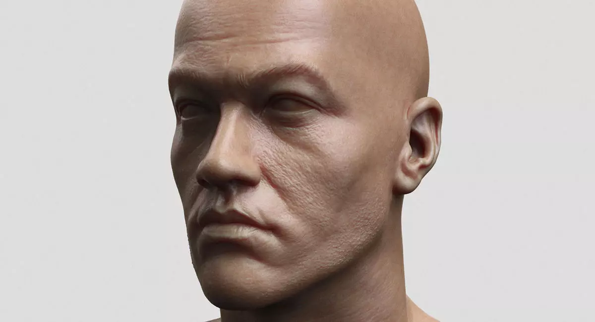 Bruce 3D model_0