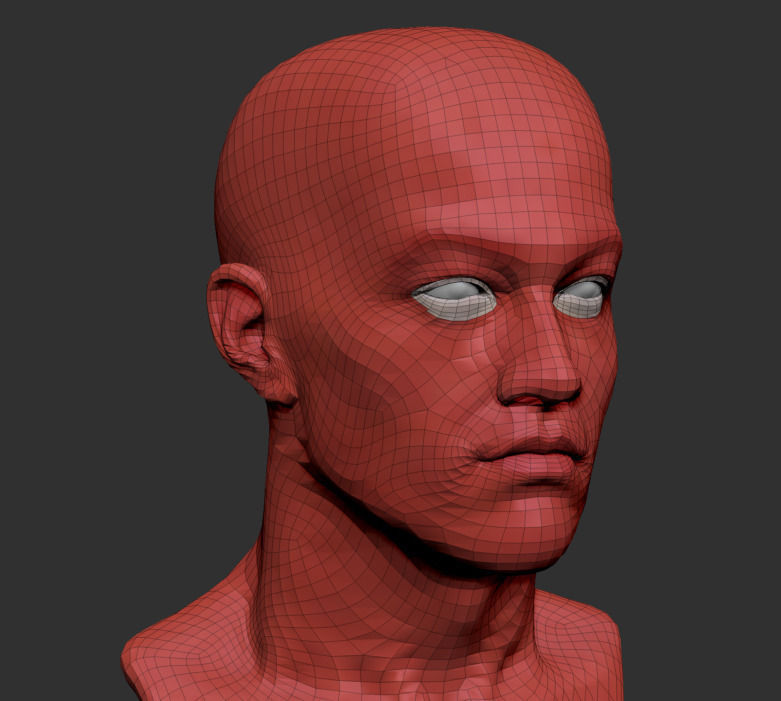 Bruce 3D model_5