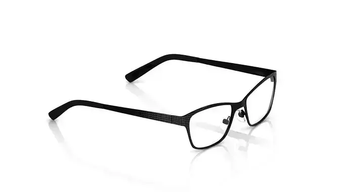 Eyeglasses for Men and Women 3D print model
