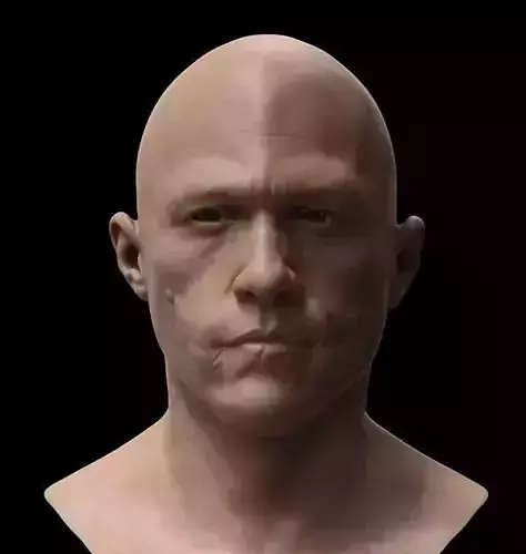 Heath 3D model