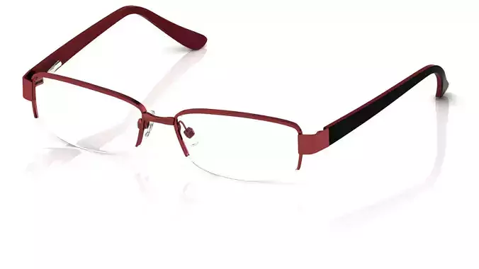 Eyeglasses for Men and Women 3D print model