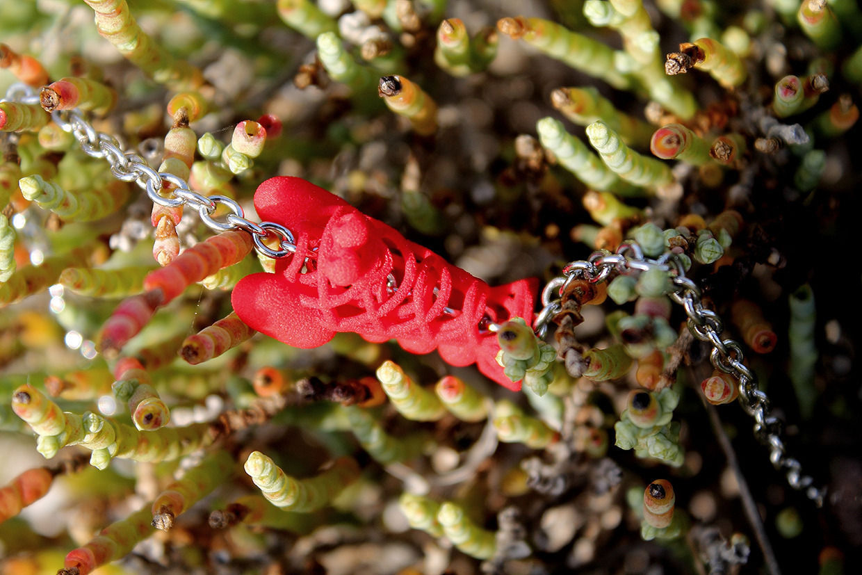 Shrimpy evolution 3D print model_2