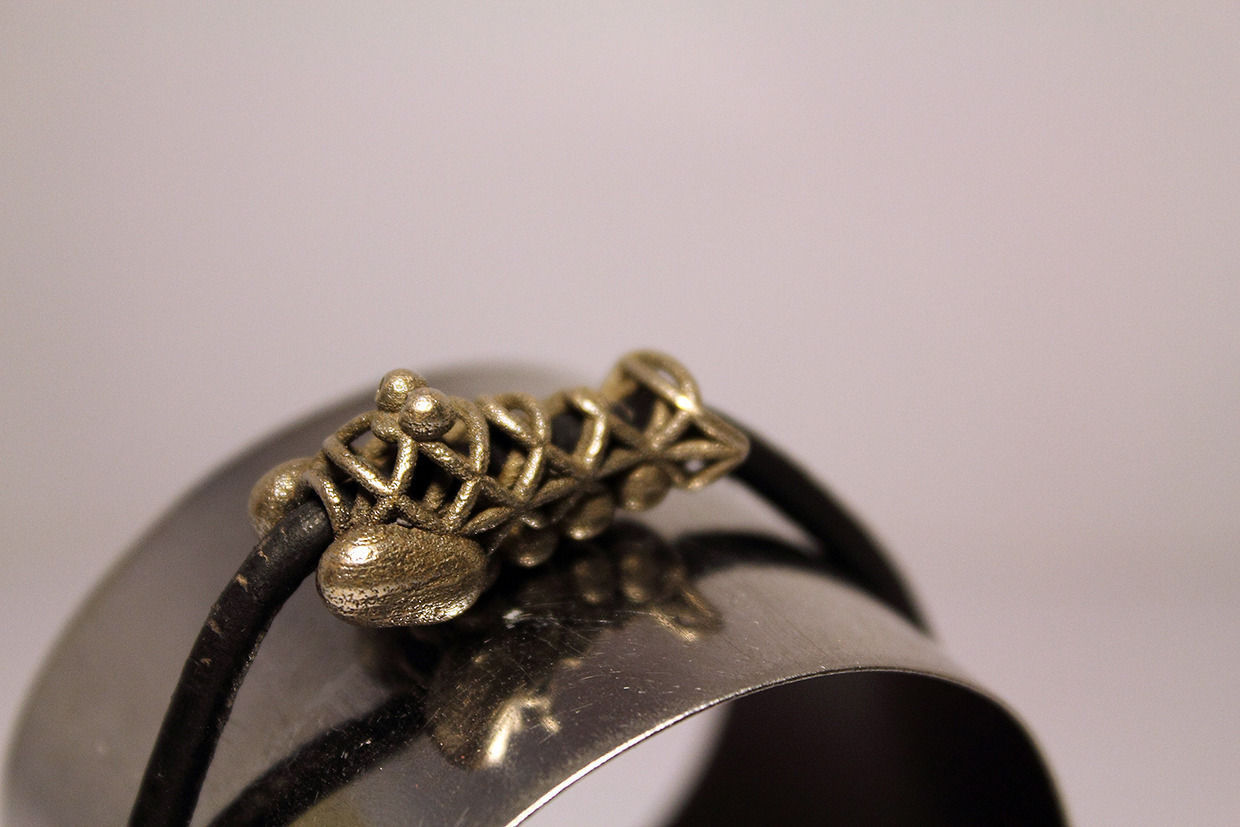 Shrimpy evolution 3D print model_1