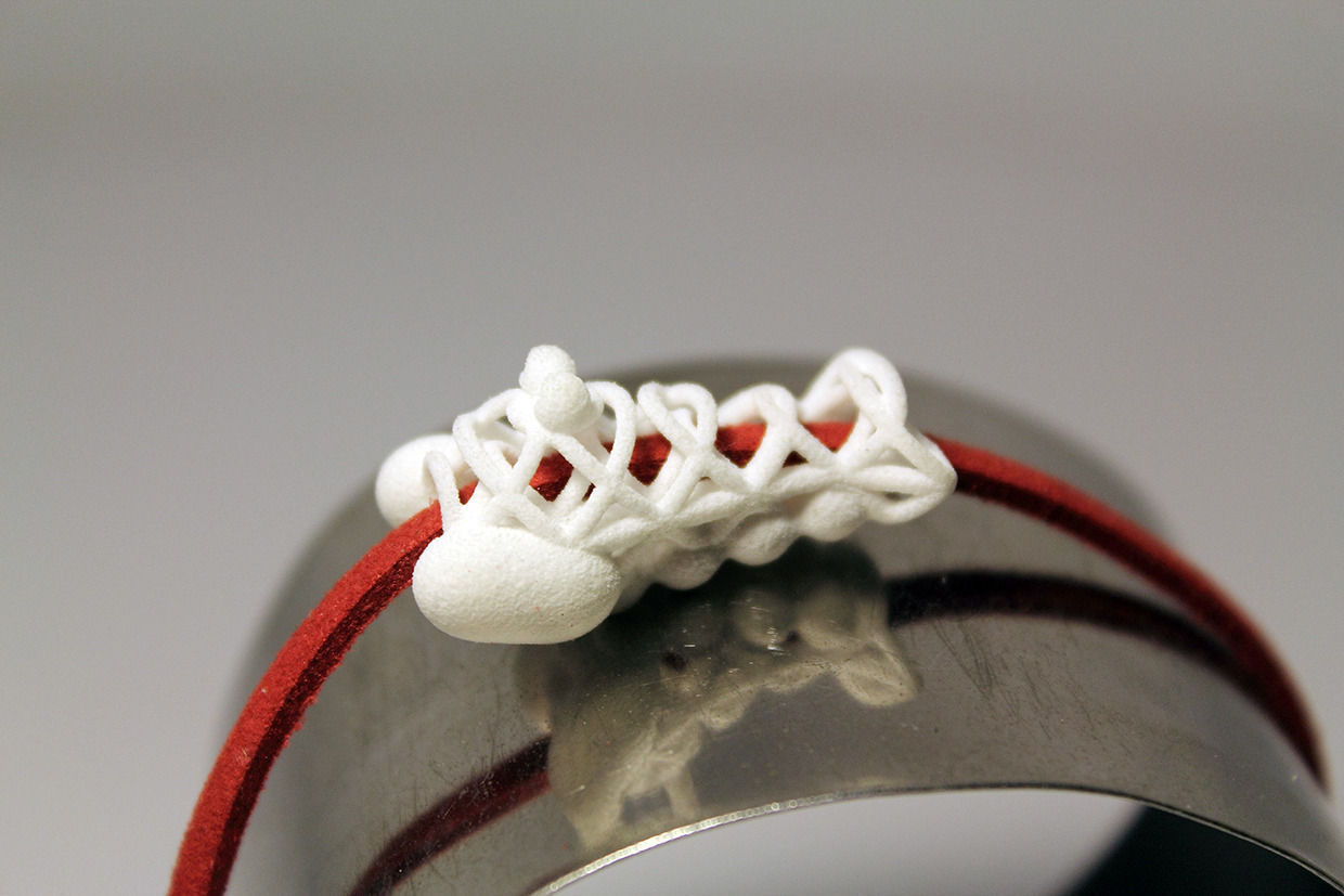 Shrimpy evolution 3D print model_3