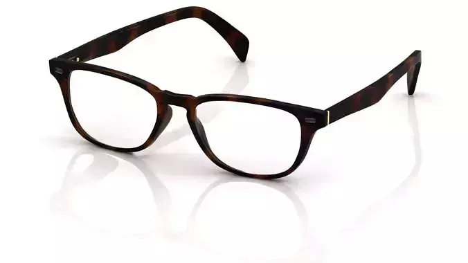 Eyeglasses for Men and Women