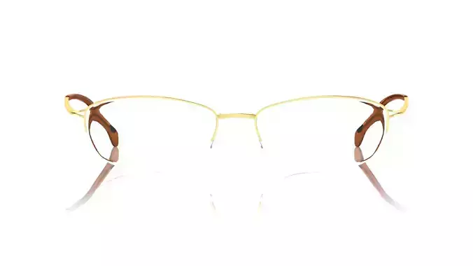 Eyeglasses for Men and Women