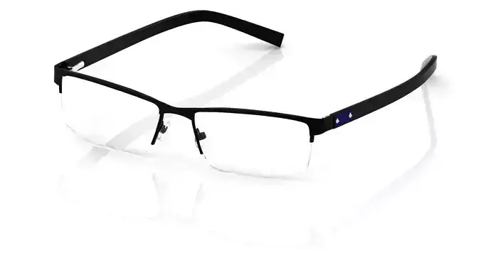 Eyeglasses for Men and Women 3D print model