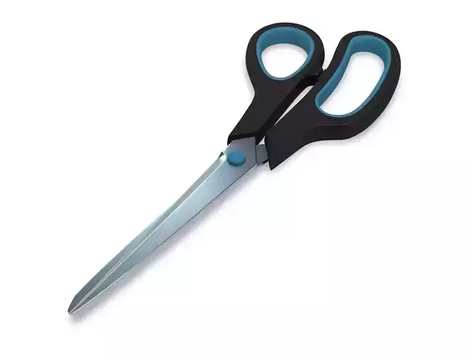Scissors pair of