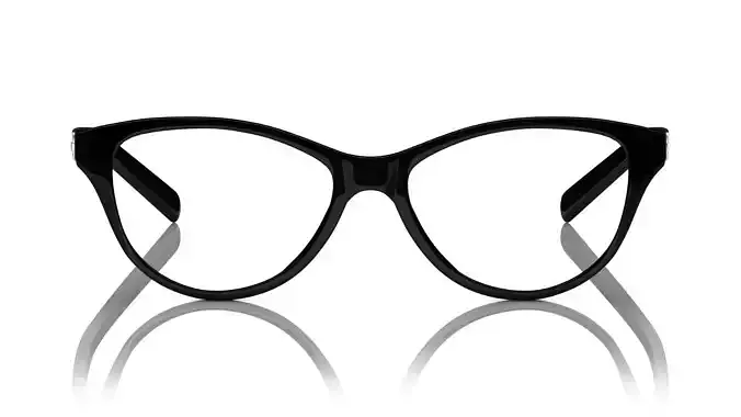 Eyeglasses for Men and Women 3D print model