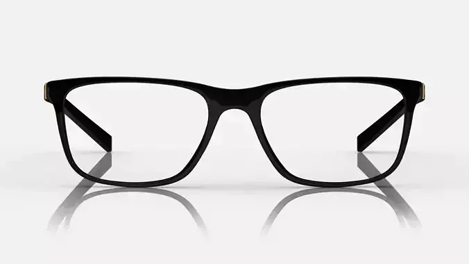Eyeglasses for Men and Women 3D print model