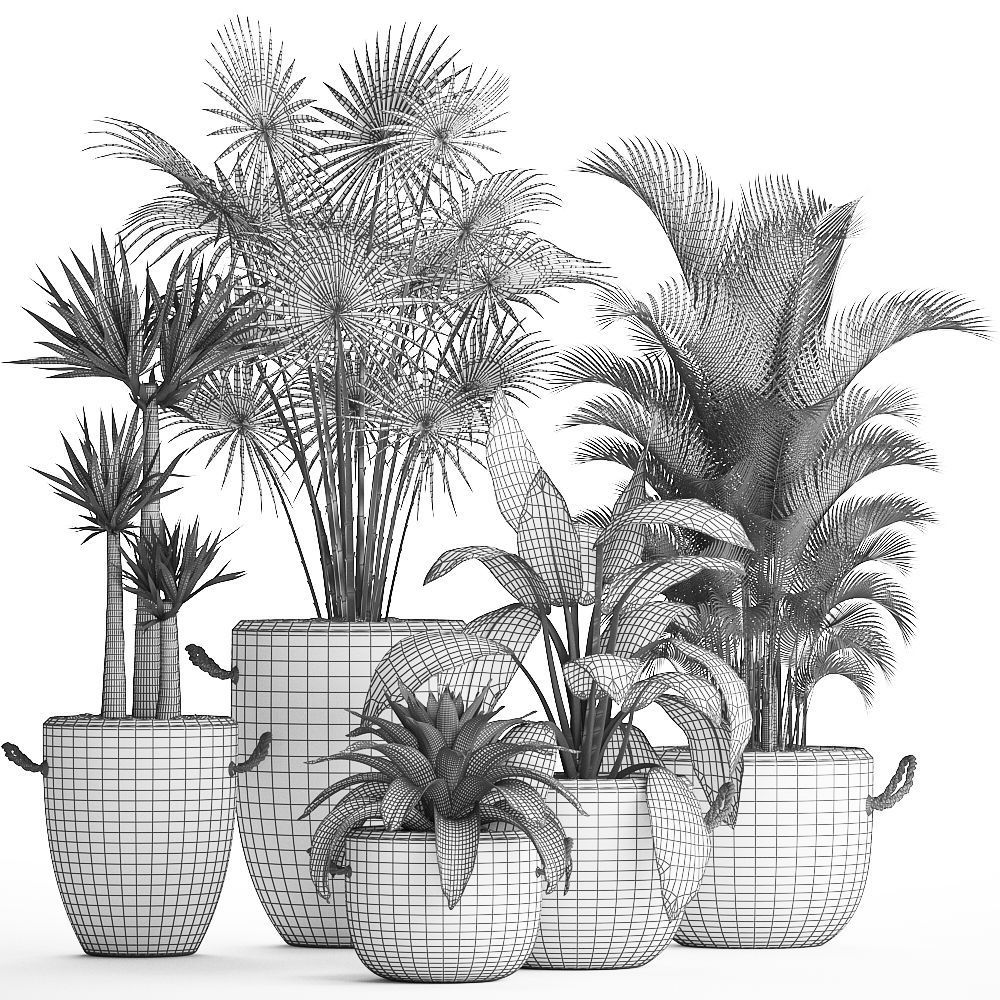 Collection of Exotic Plants 436 3D model_9