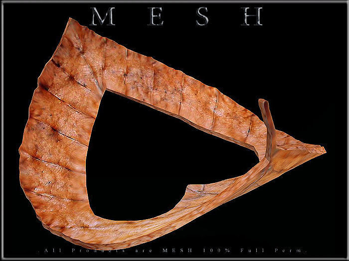 Heart Dry Leaf - Curved 02 Low-poly 3D model_1