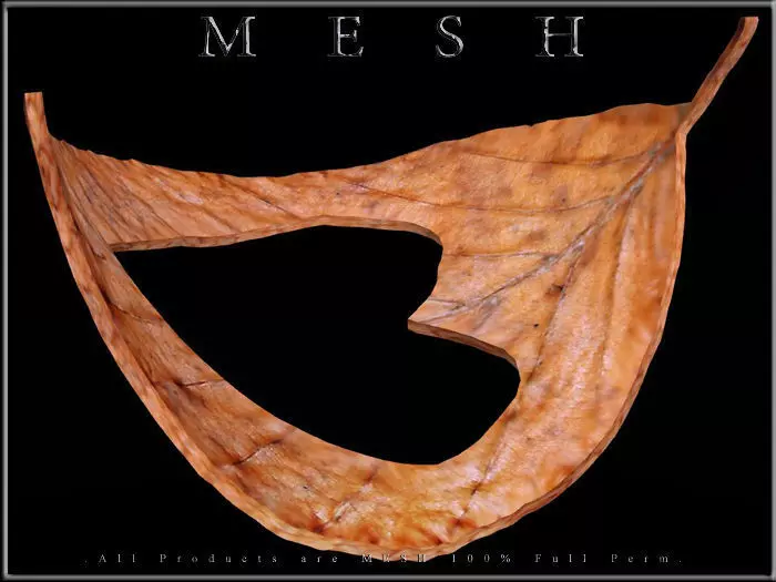 Heart Dry Leaf - Curved 02 Low-poly 3D model_0