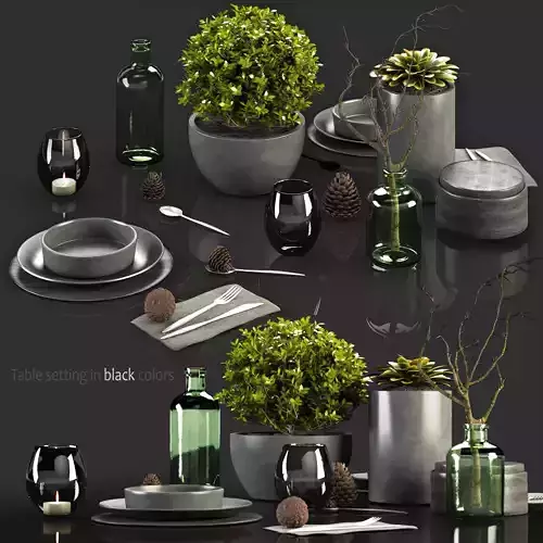 Table Setting in black colors 3D model