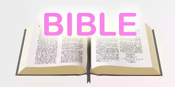 bible books holy 3d model Low-poly 3D model