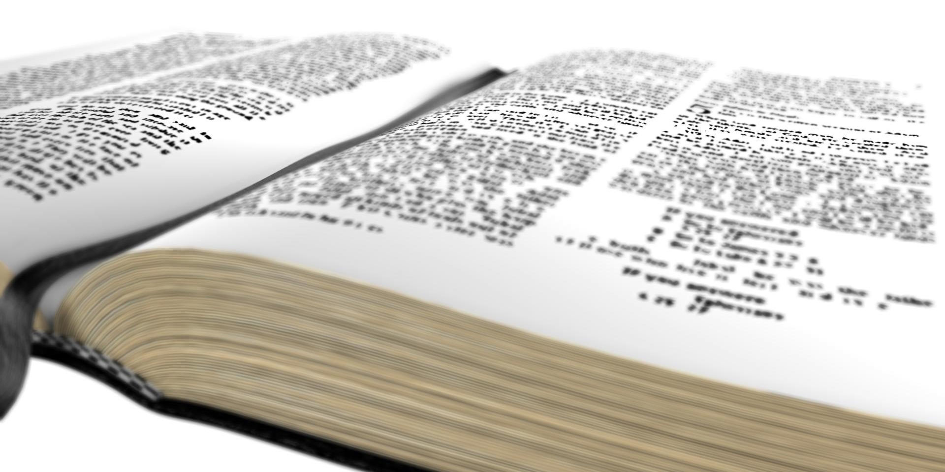 bible books holy 3d model Low-poly 3D model_11