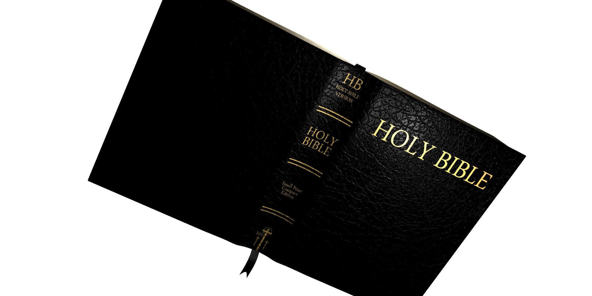 bible books holy 3d model Low-poly 3D model_16