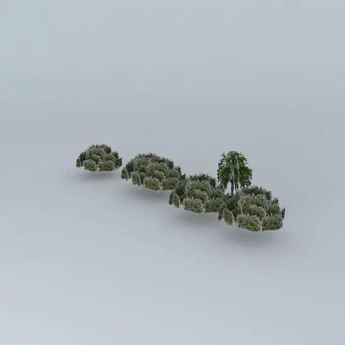 Trees on my street Free 3D model