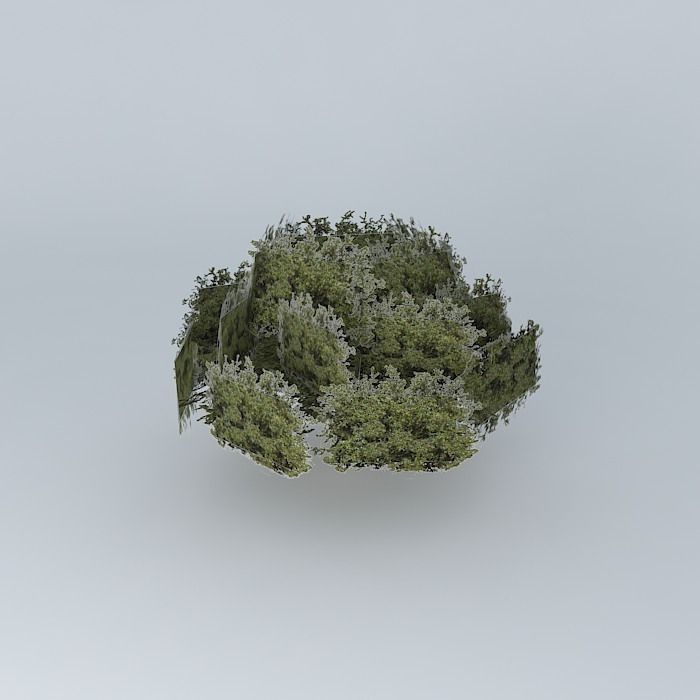 Tree in the White River west to east Free 3D model_1