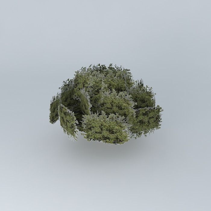 Tree in the White River west to east Free 3D model_2