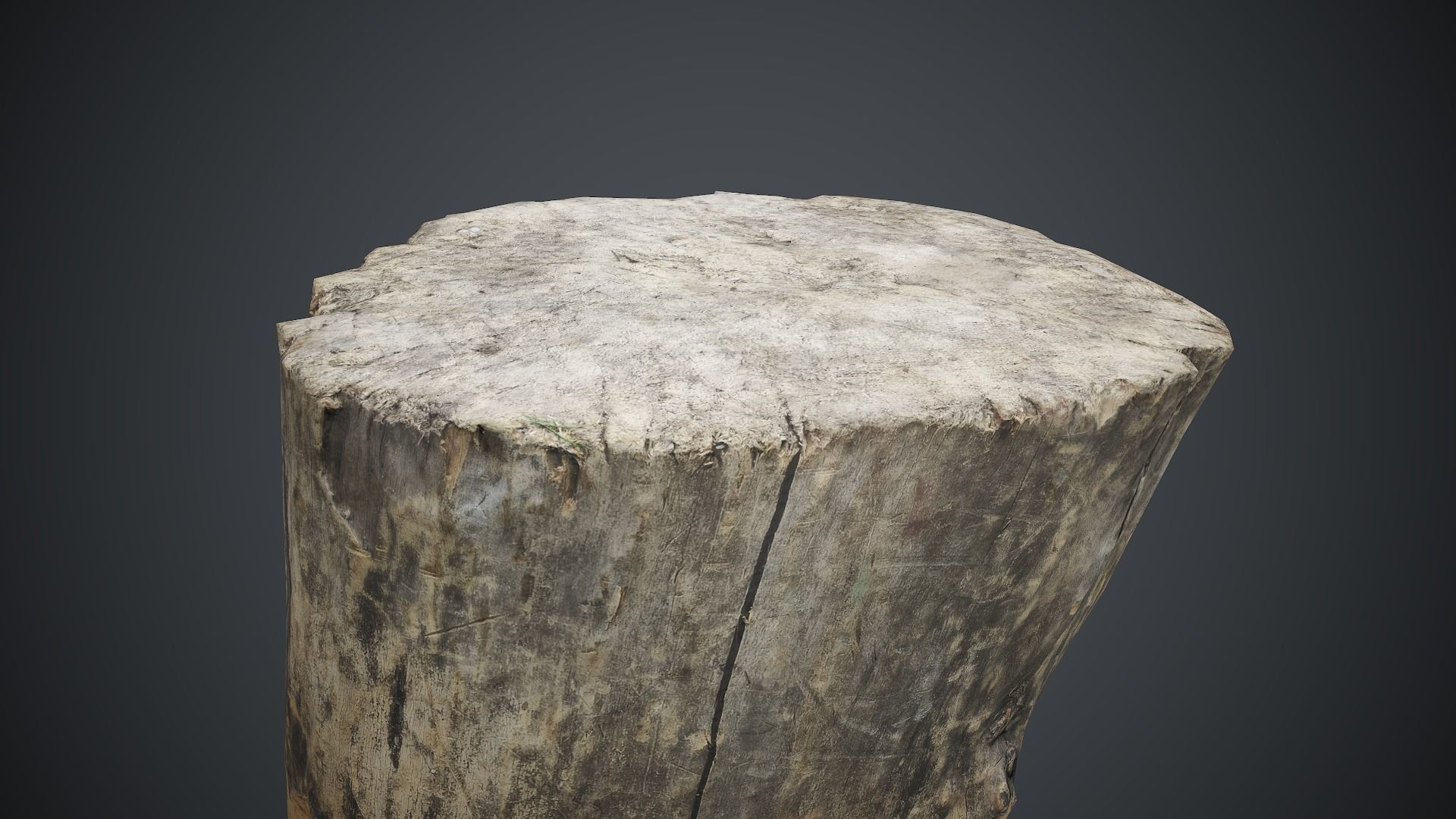 Wood Stump 1 PBR Game Ready Low-poly 3D model_10