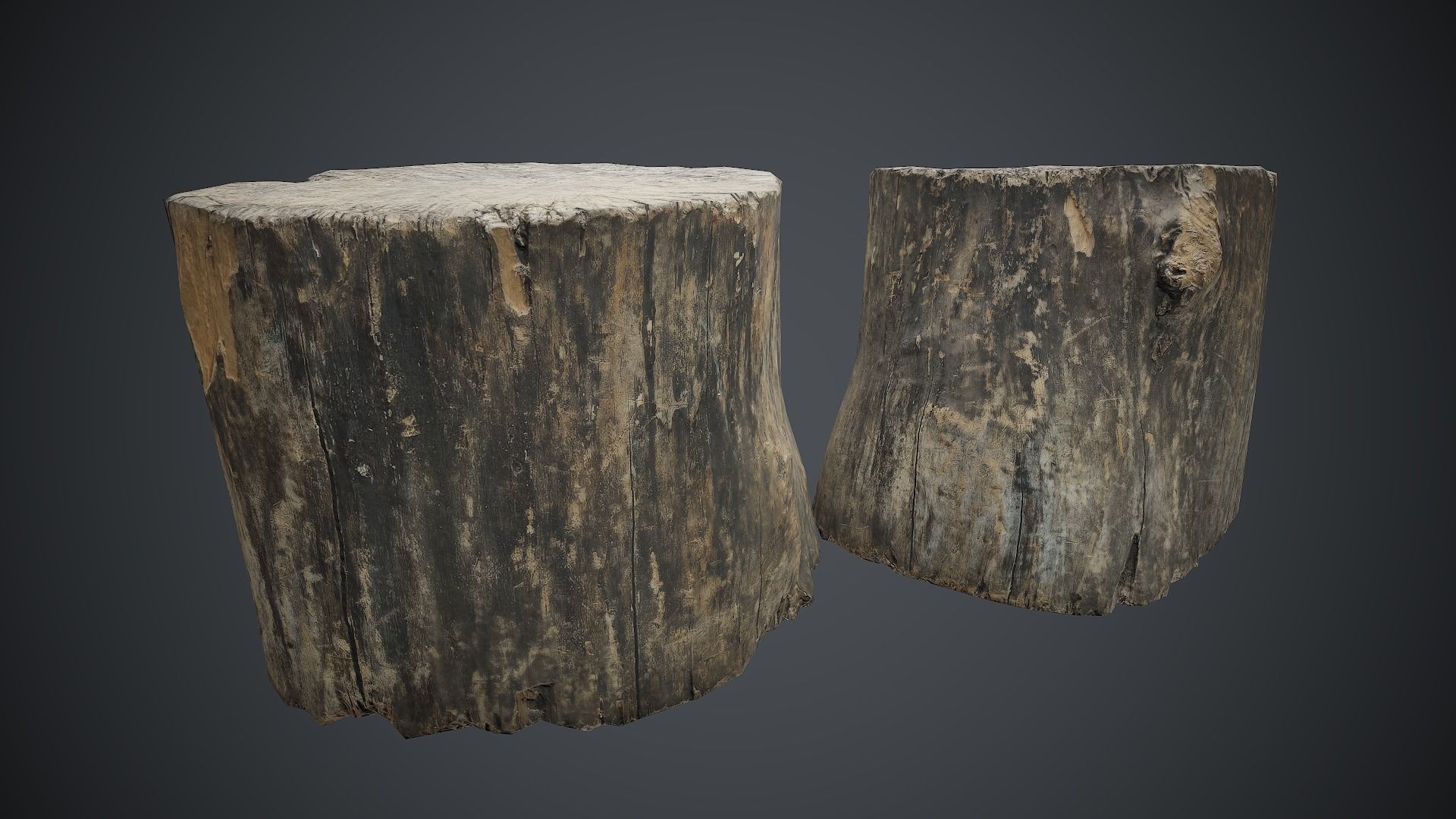 Wood Stump 1 PBR Game Ready Low-poly 3D model_1