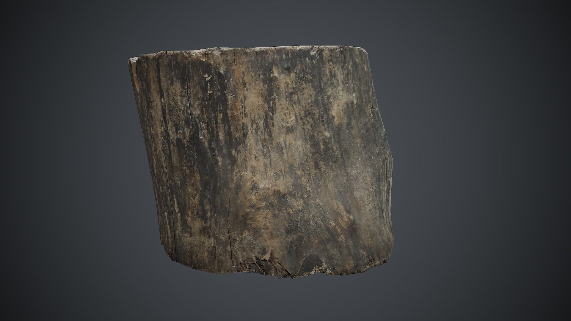 Wood Stump 1 PBR Game Ready Low-poly 3D model_5