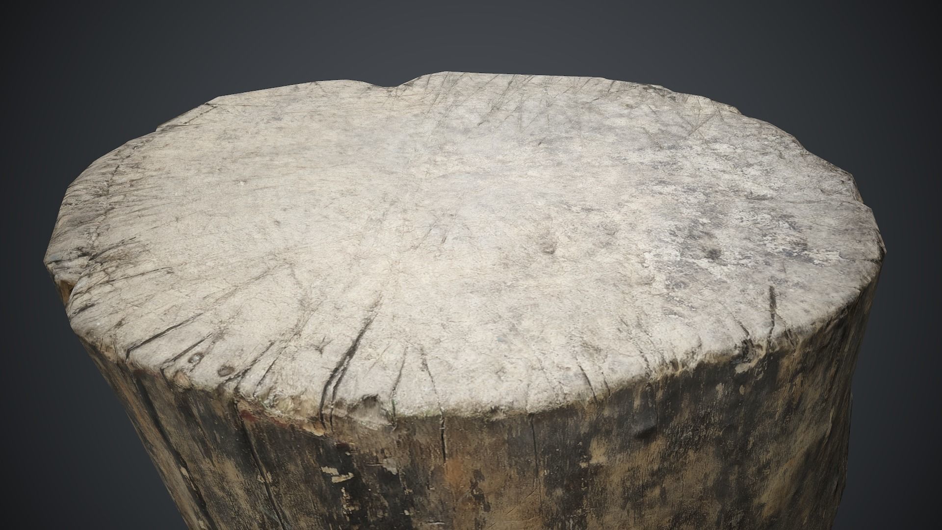 Wood Stump 1 PBR Game Ready Low-poly 3D model_6