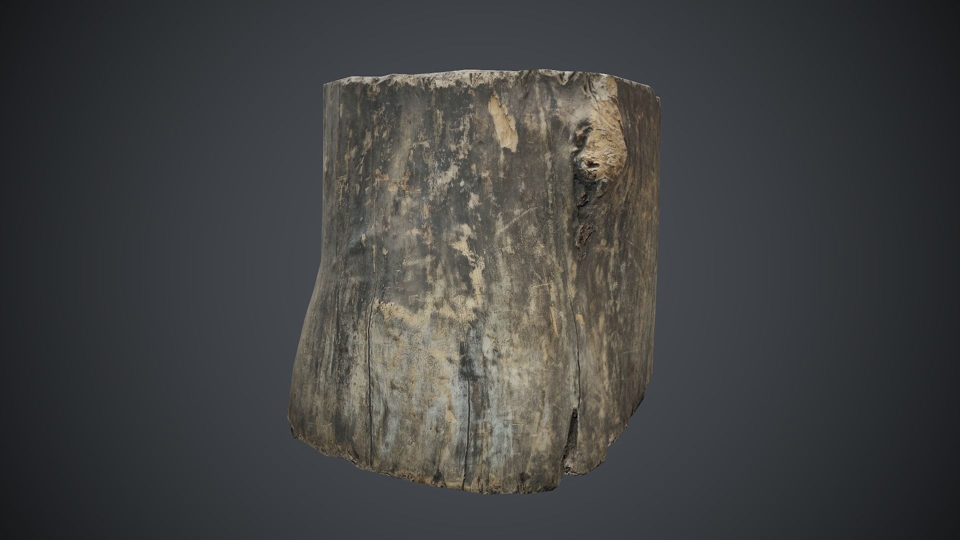 Wood Stump 1 PBR Game Ready Low-poly 3D model_4