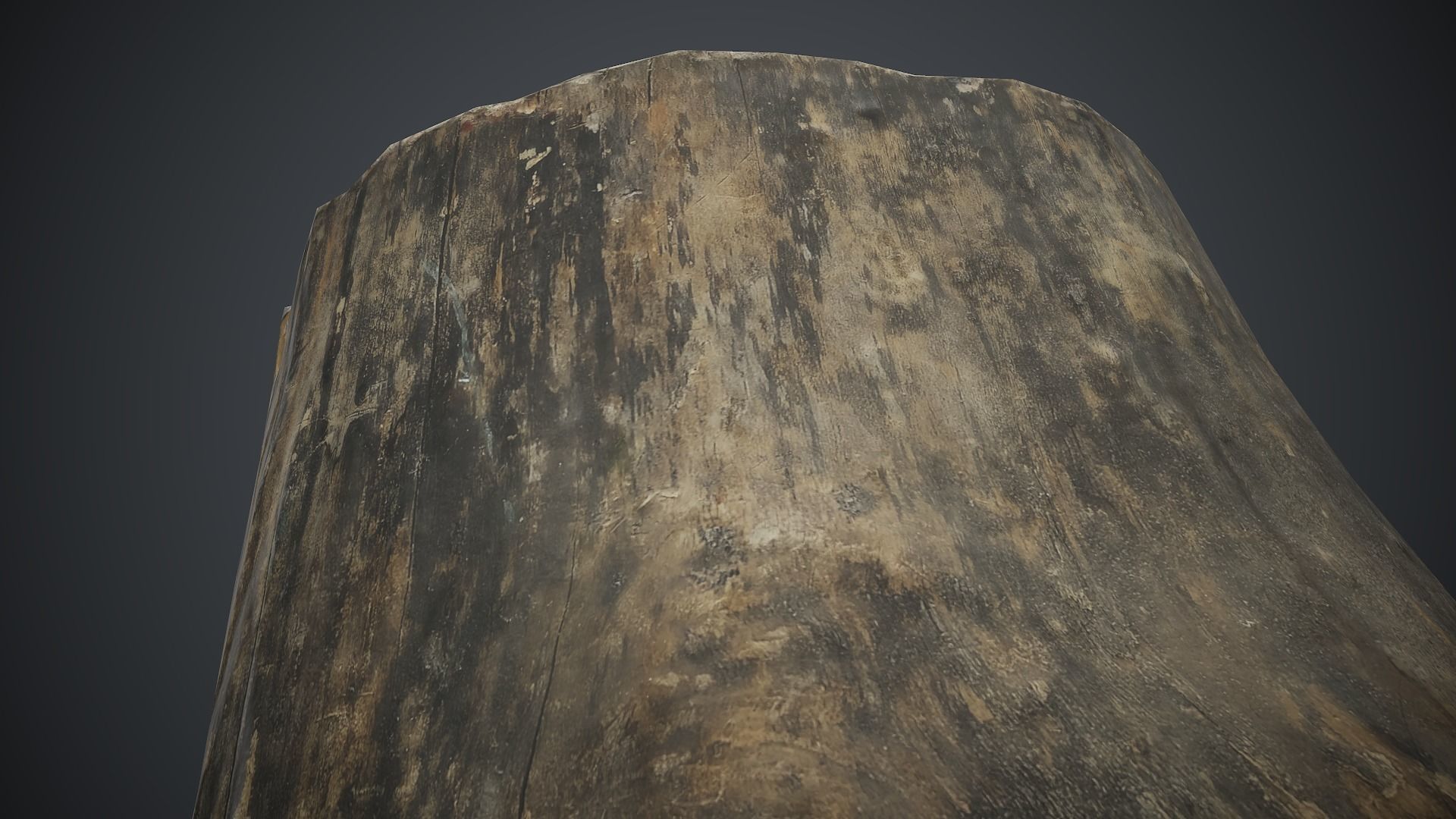 Wood Stump 1 PBR Game Ready Low-poly 3D model_9