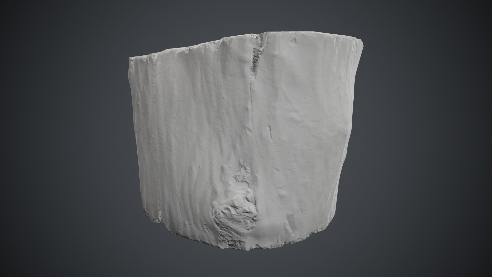 Wood Stump 1 PBR Game Ready Low-poly 3D model_17