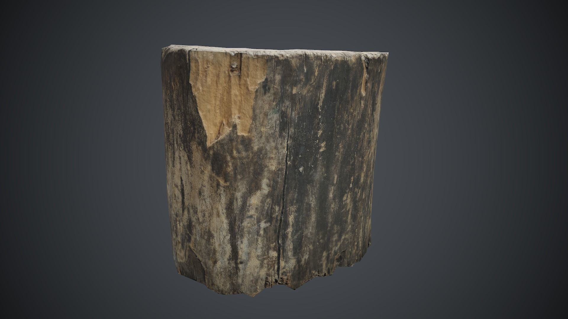 Wood Stump 1 PBR Game Ready Low-poly 3D model_2