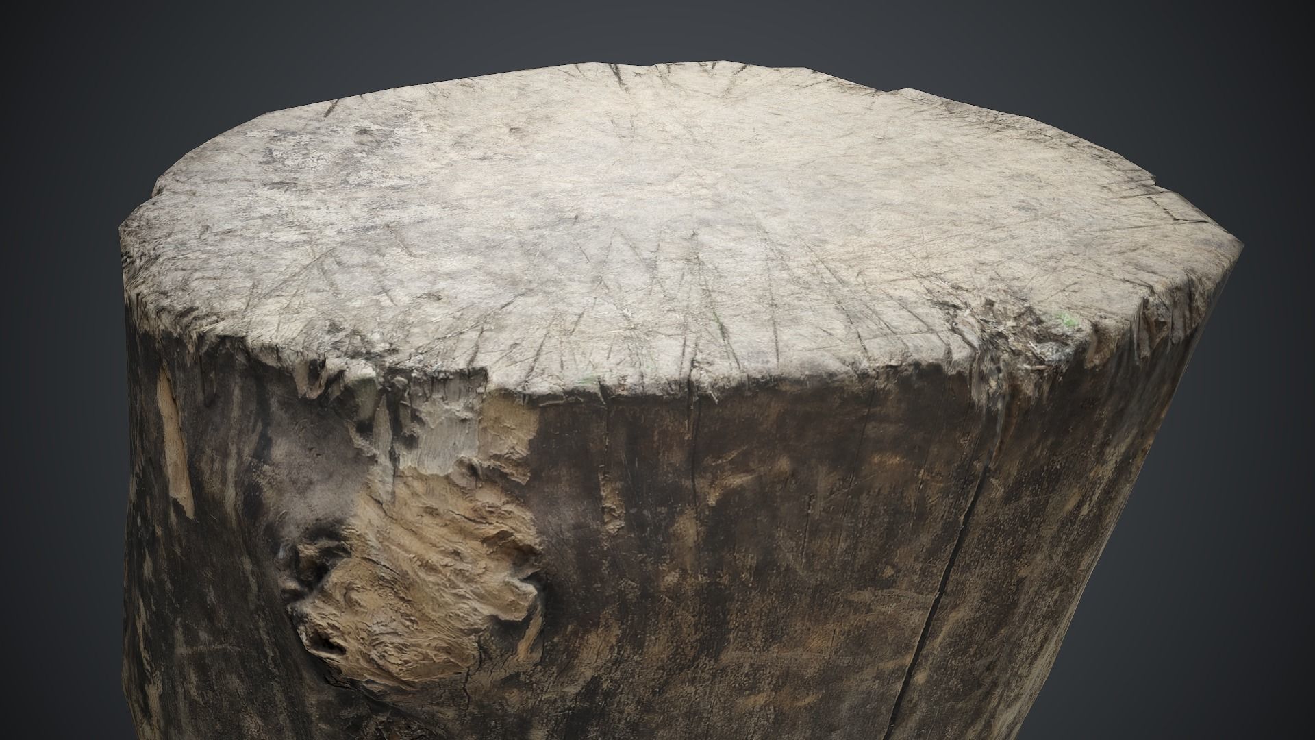 Wood Stump 1 PBR Game Ready Low-poly 3D model_7