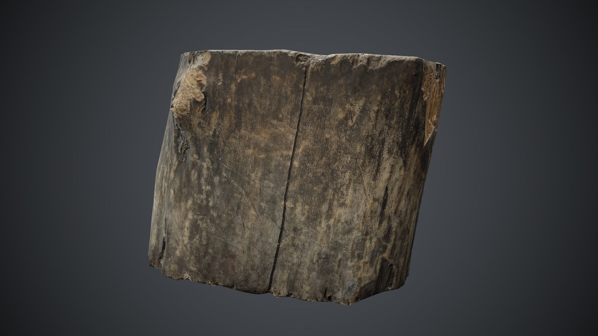 Wood Stump 1 PBR Game Ready Low-poly 3D model_3