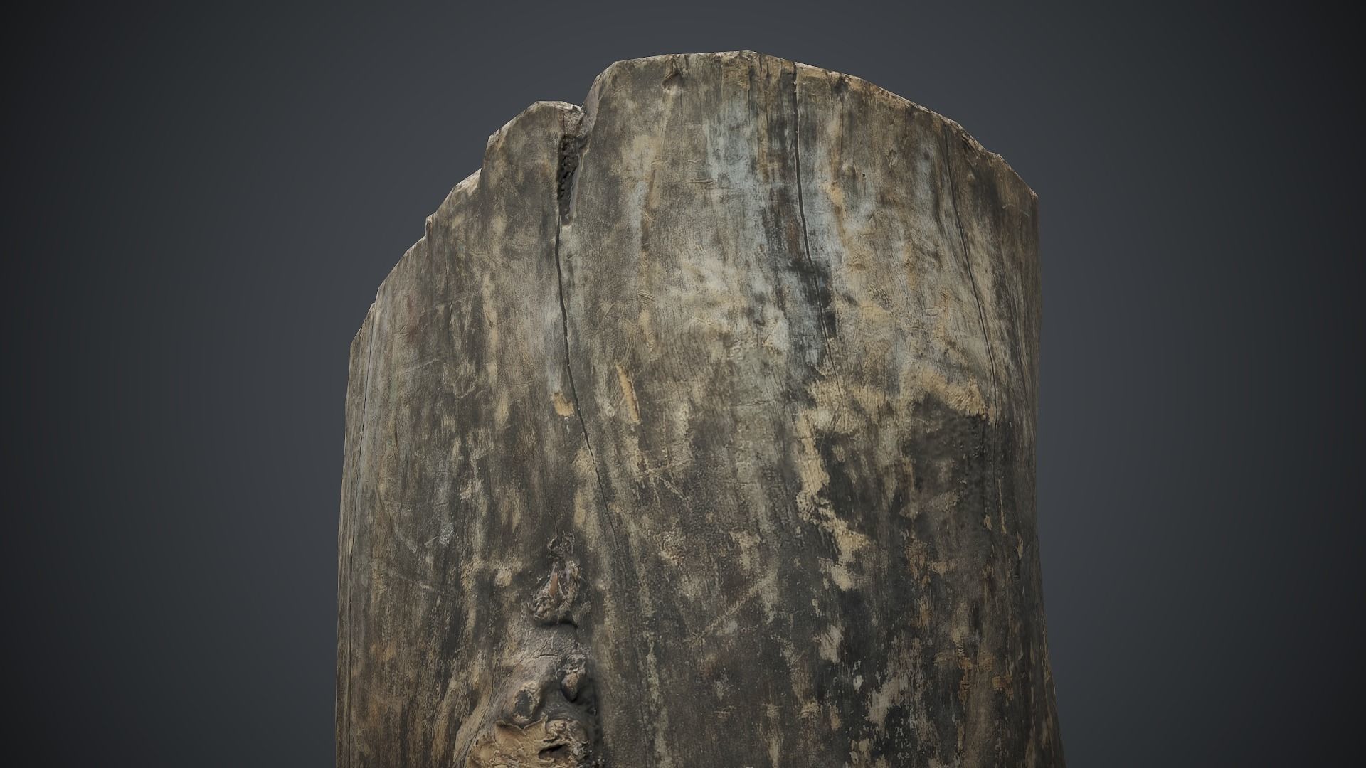 Wood Stump 1 PBR Game Ready Low-poly 3D model_12