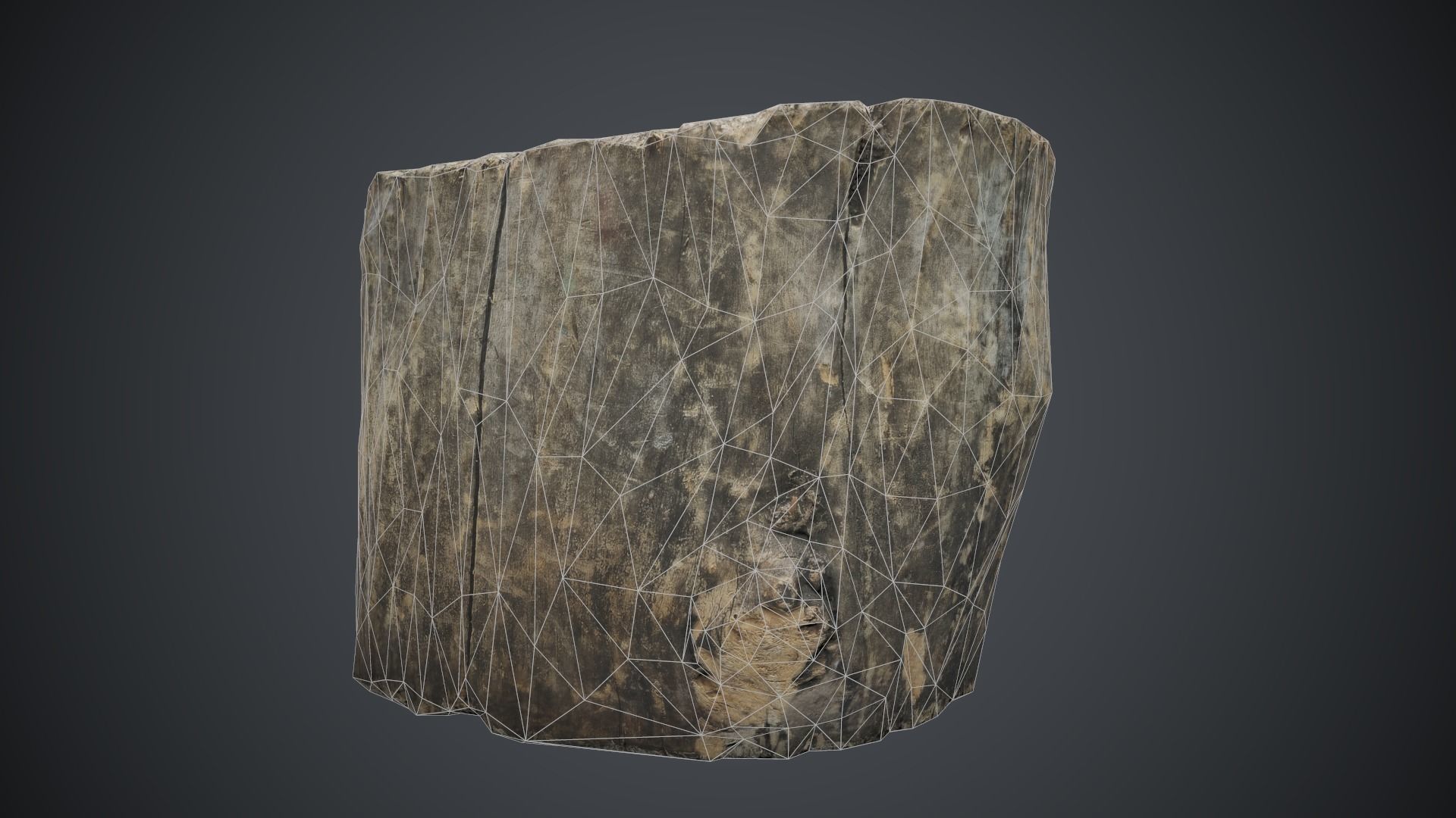 Wood Stump 1 PBR Game Ready Low-poly 3D model_13
