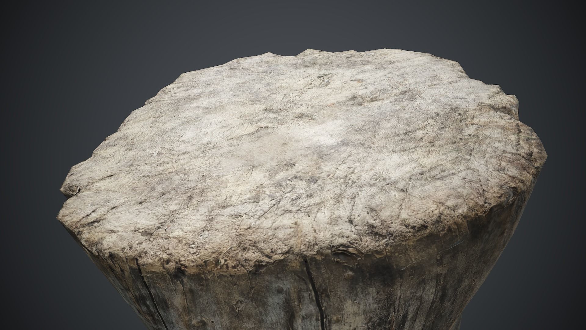 Wood Stump 1 PBR Game Ready Low-poly 3D model_11