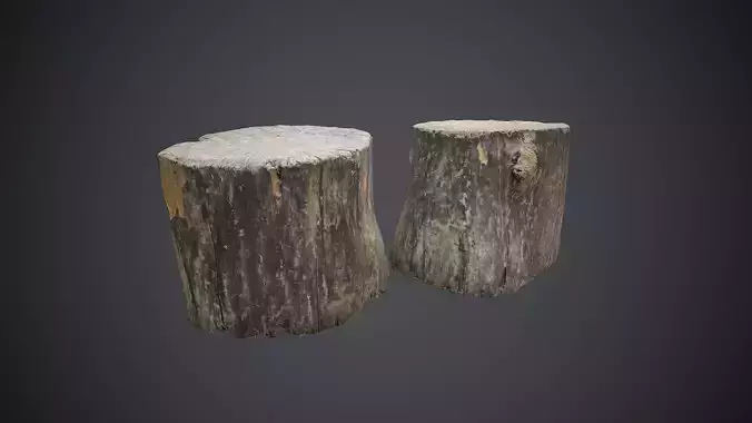 Wood Stump 1 PBR Game Ready Low-poly 3D model